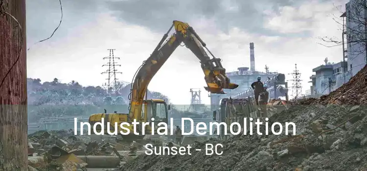  Industrial Demolition Sunset - BC
