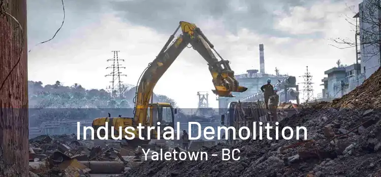  Industrial Demolition Yaletown - BC