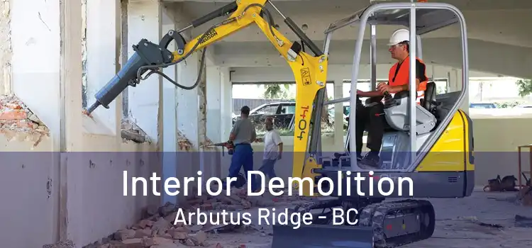  Interior Demolition Arbutus Ridge - BC