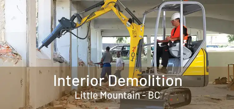  Interior Demolition Little Mountain - BC