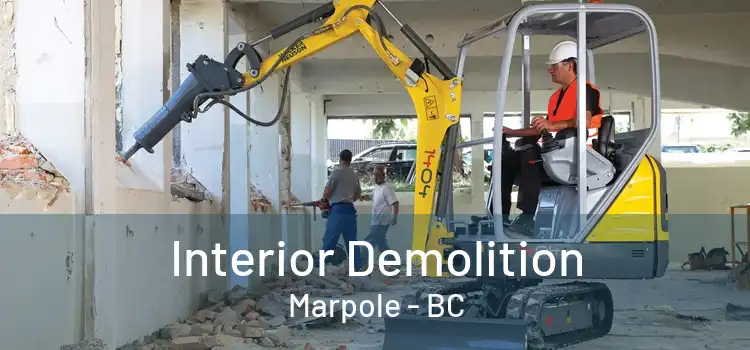  Interior Demolition Marpole - BC