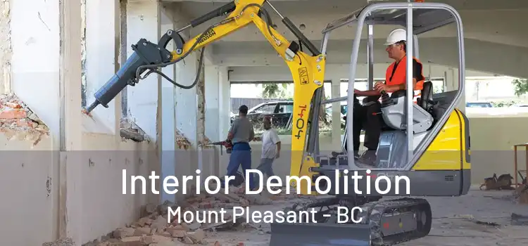  Interior Demolition Mount Pleasant - BC