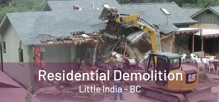  Residential Demolition Little India - BC