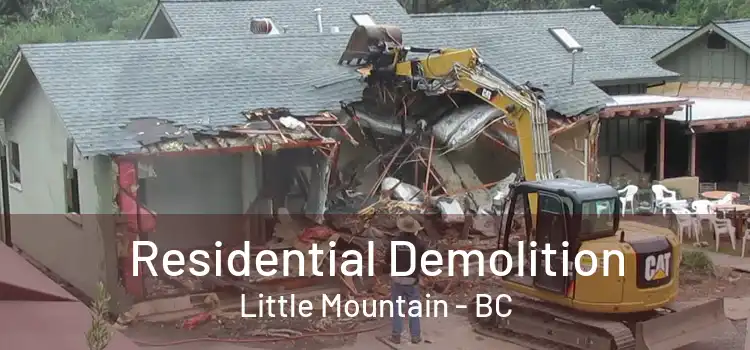  Residential Demolition Little Mountain - BC