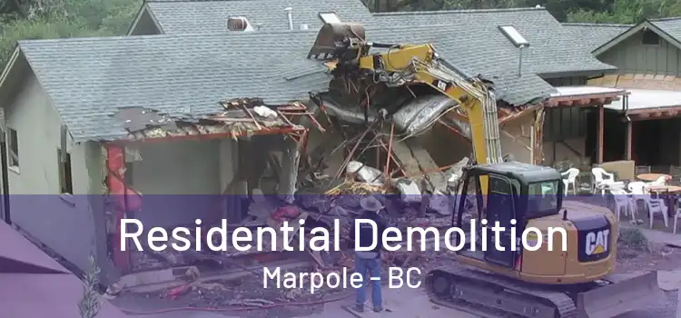  Residential Demolition Marpole - BC