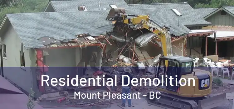  Residential Demolition Mount Pleasant - BC