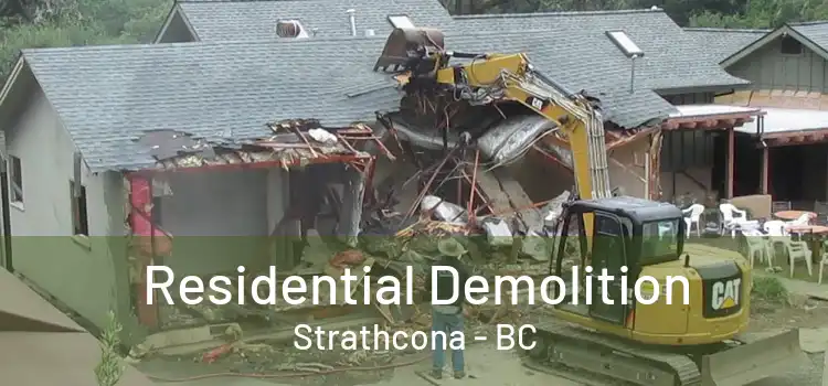  Residential Demolition Strathcona - BC