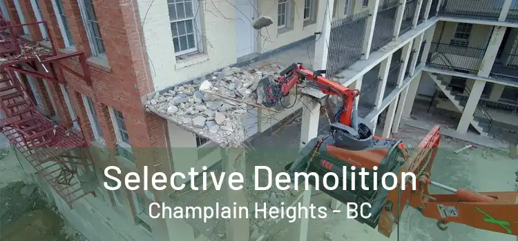  Selective Demolition Champlain Heights - BC