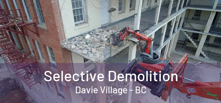  Selective Demolition Davie Village - BC