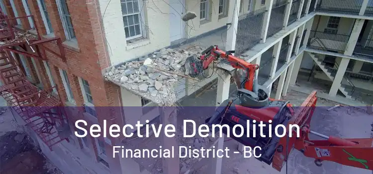 Selective Demolition Financial District - BC