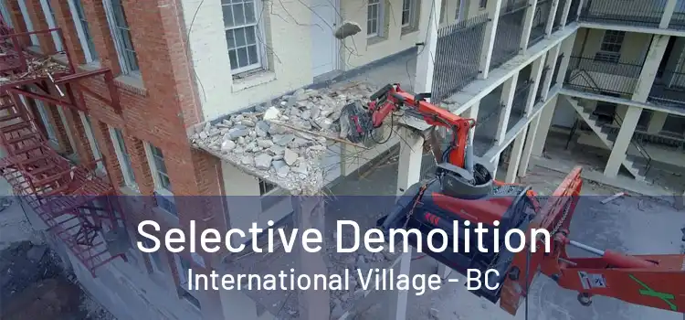  Selective Demolition International Village - BC