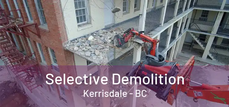  Selective Demolition Kerrisdale - BC