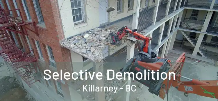  Selective Demolition Killarney - BC
