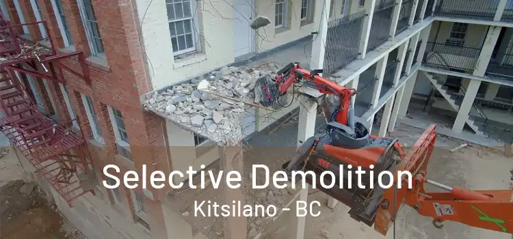  Selective Demolition Kitsilano - BC