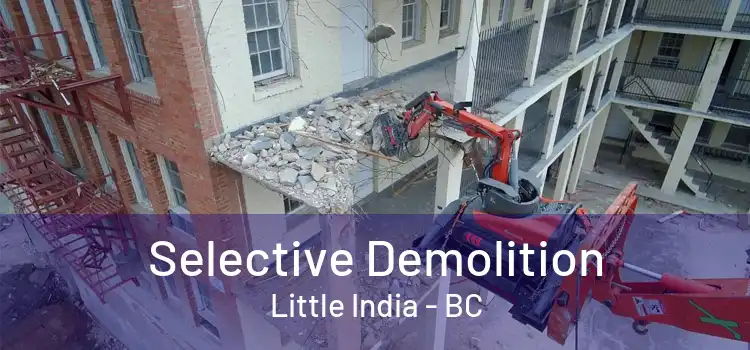  Selective Demolition Little India - BC