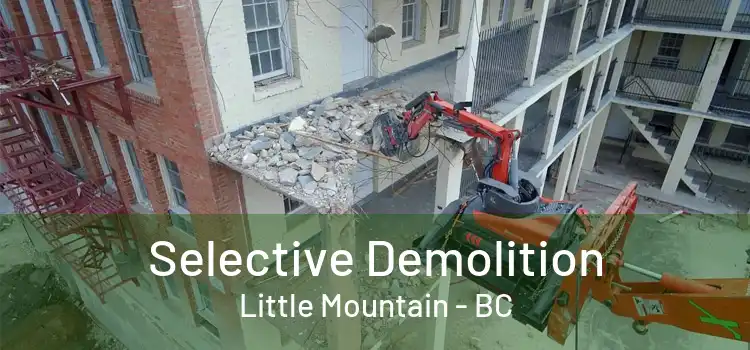  Selective Demolition Little Mountain - BC