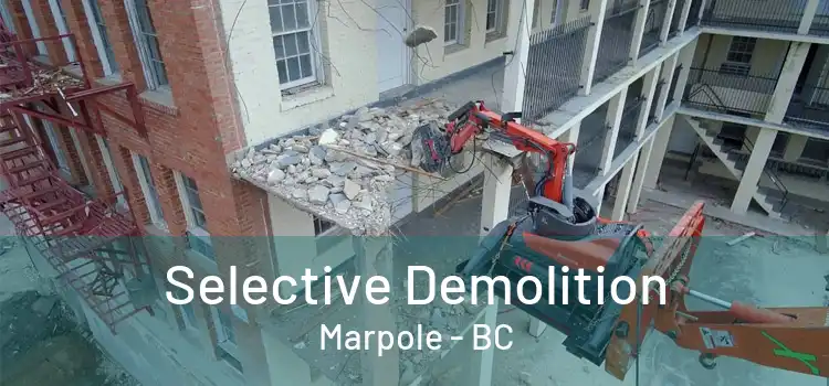  Selective Demolition Marpole - BC