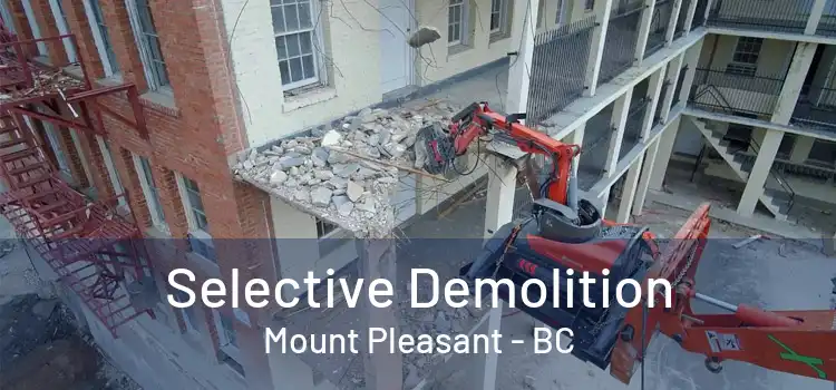  Selective Demolition Mount Pleasant - BC