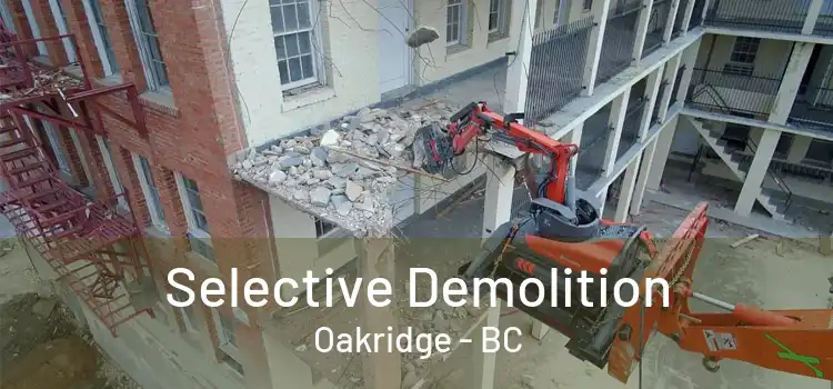  Selective Demolition Oakridge - BC