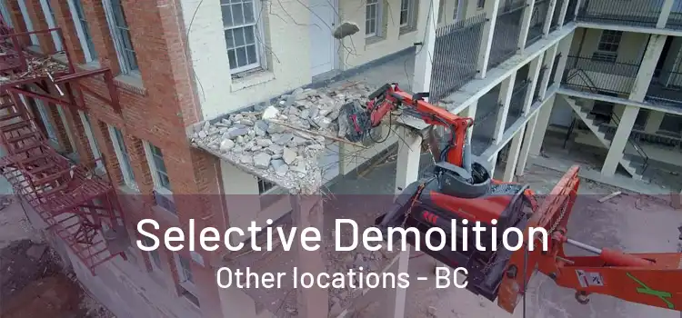  Selective Demolition Other locations - BC