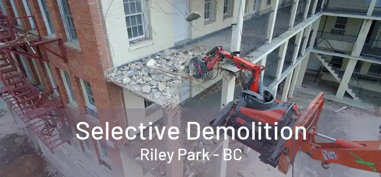  Selective Demolition Riley Park - BC