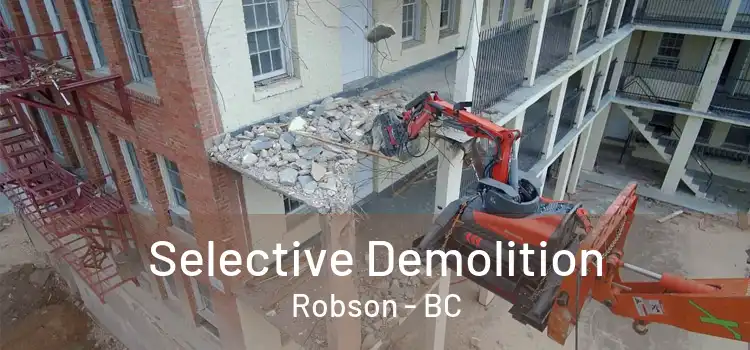  Selective Demolition Robson - BC
