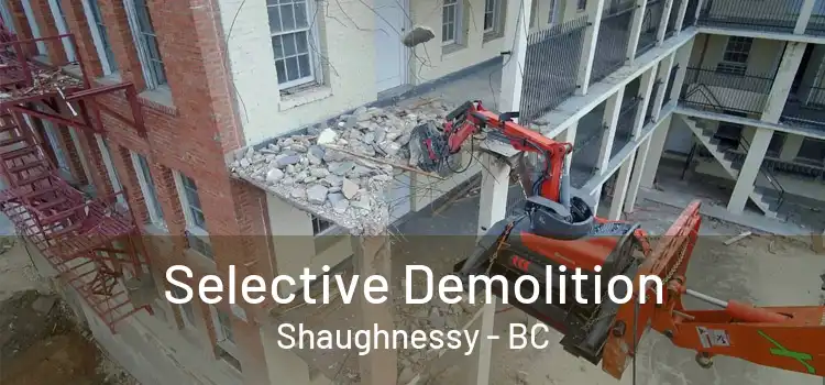  Selective Demolition Shaughnessy - BC