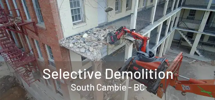  Selective Demolition South Cambie - BC