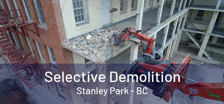 Selective Demolition Stanley Park - BC