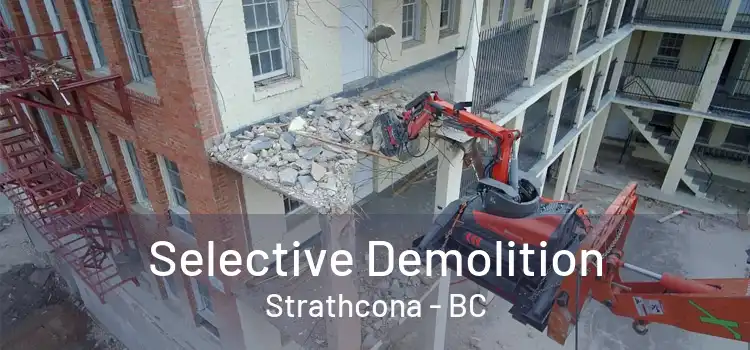  Selective Demolition Strathcona - BC