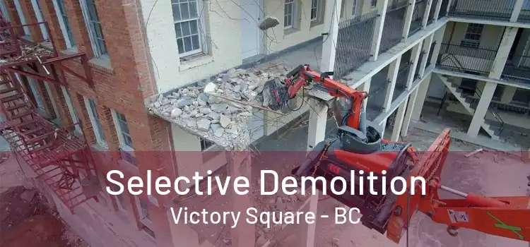  Selective Demolition Victory Square - BC
