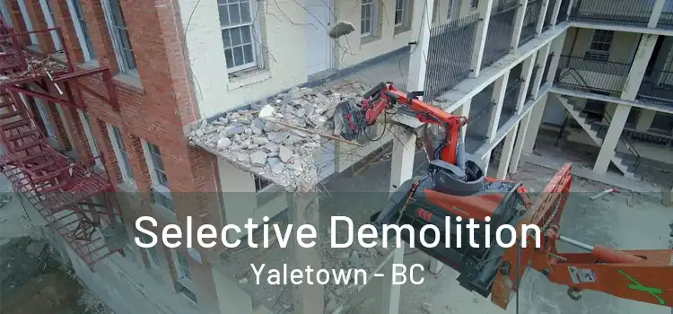  Selective Demolition Yaletown - BC