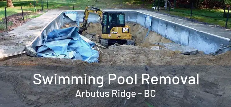  Swimming Pool Removal Arbutus Ridge - BC