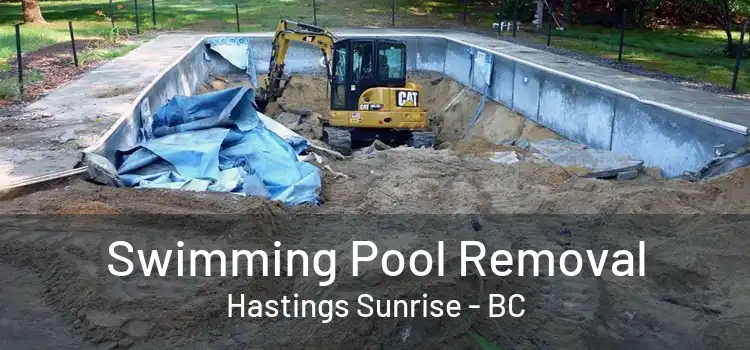  Swimming Pool Removal Hastings Sunrise - BC