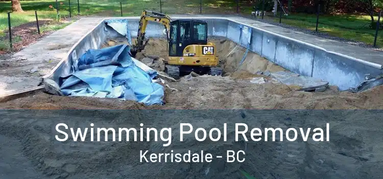  Swimming Pool Removal Kerrisdale - BC