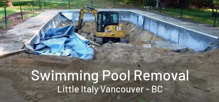  Swimming Pool Removal Little Italy Vancouver - BC