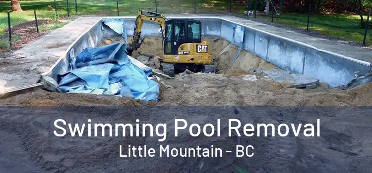  Swimming Pool Removal Little Mountain - BC