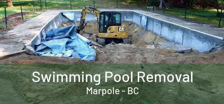  Swimming Pool Removal Marpole - BC