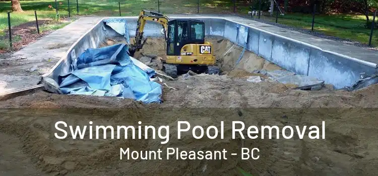  Swimming Pool Removal Mount Pleasant - BC