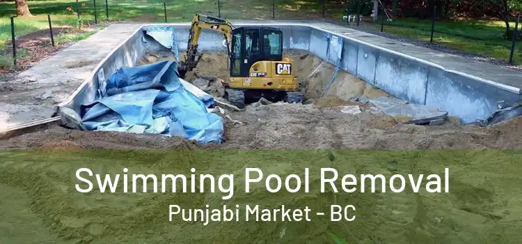 Swimming Pool Removal Punjabi Market - BC