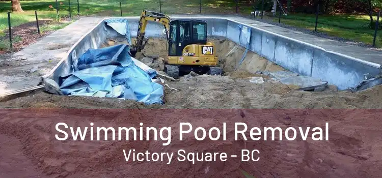  Swimming Pool Removal Victory Square - BC